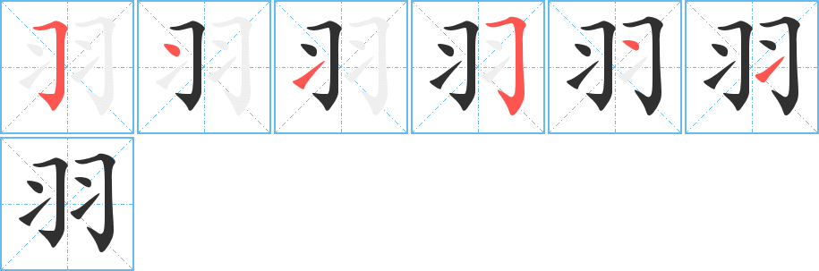 羽的笔顺分步演示图