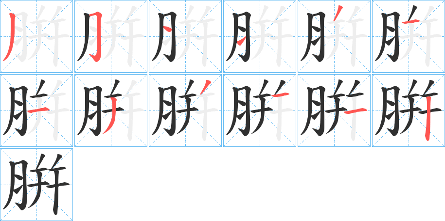 腁的笔顺分步演示图