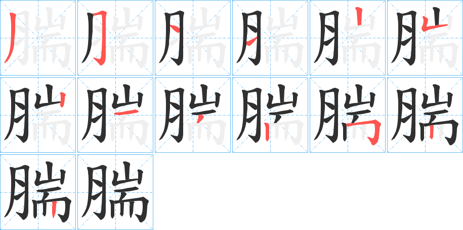 腨的笔顺分步演示图