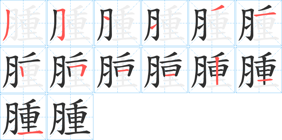 腫的笔顺分步演示图