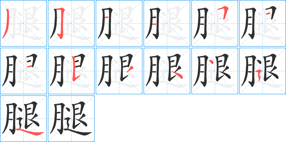 腿的笔顺分步演示图