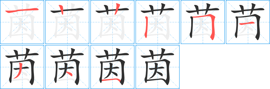 茵的笔顺分步演示图