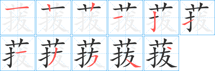 菝的笔顺分步演示图