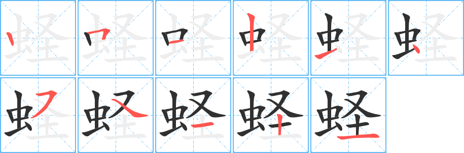 蛏的笔顺分步演示图