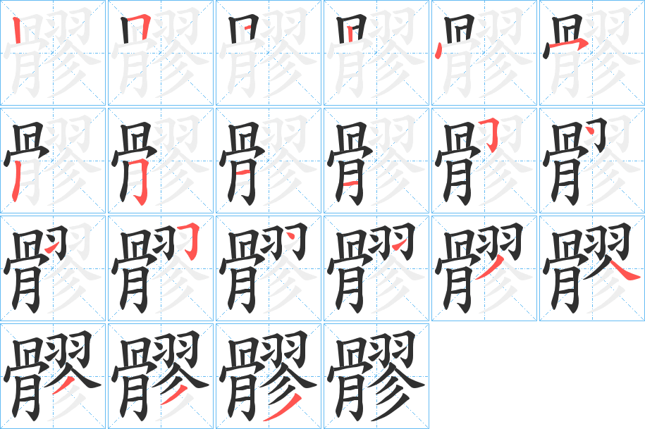 髎的笔顺分步演示图