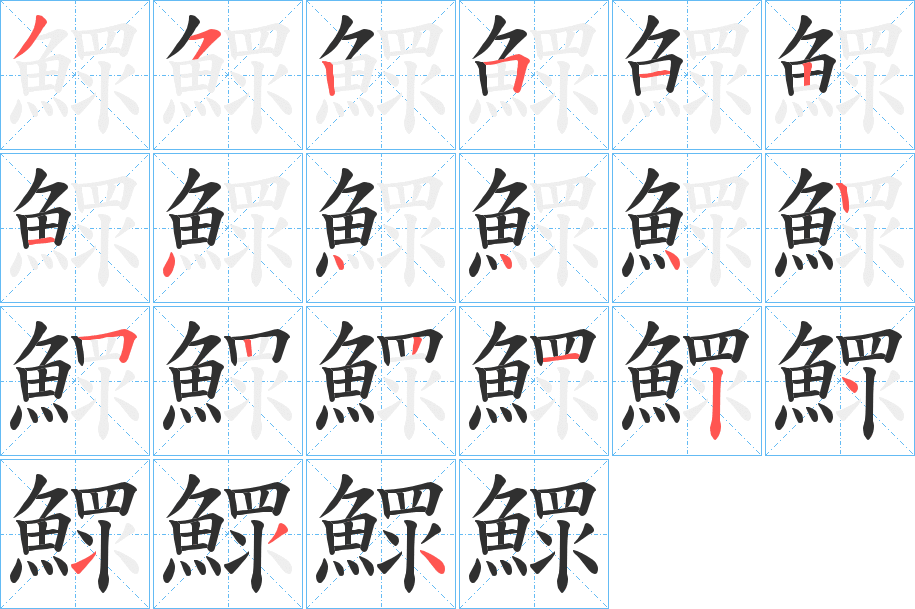 鰥的笔顺分步演示图