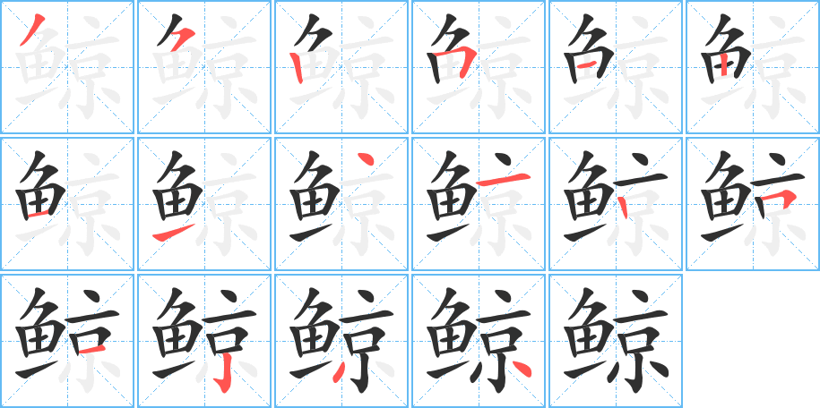 鲸的笔顺分步演示图