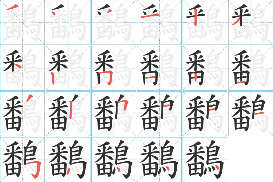 鷭的笔顺分步演示图