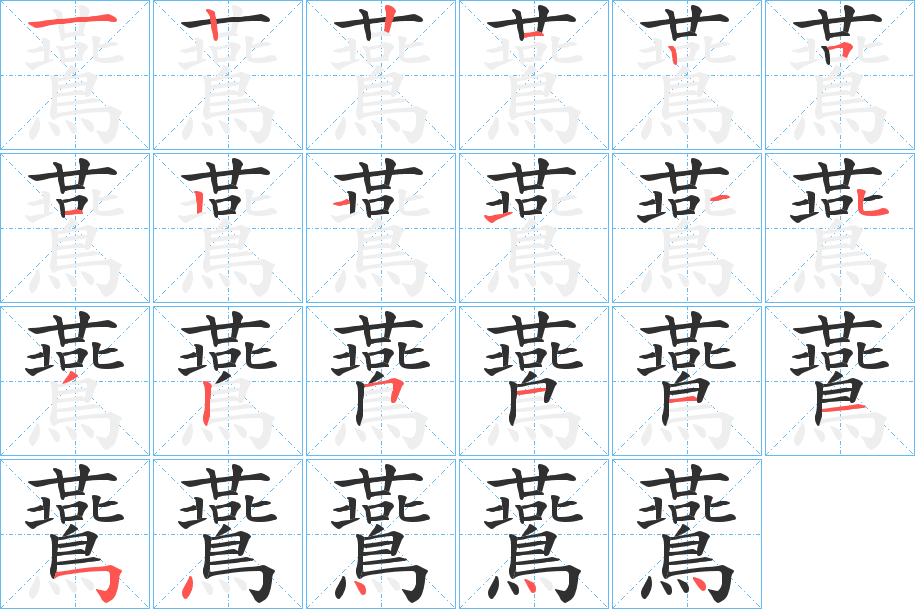 鷰的笔顺分步演示图