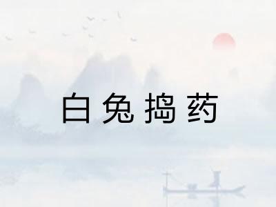 白兔捣药