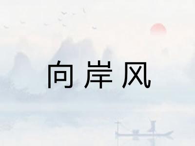 向岸风