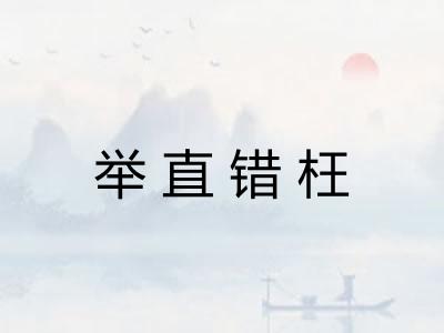 举直错枉