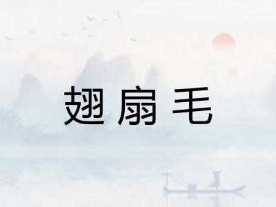 翅扇毛