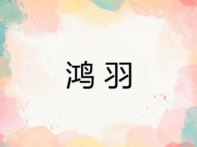 鸿羽