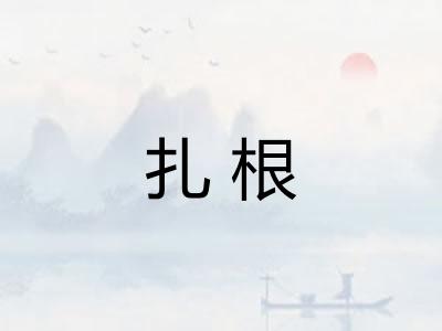 扎根