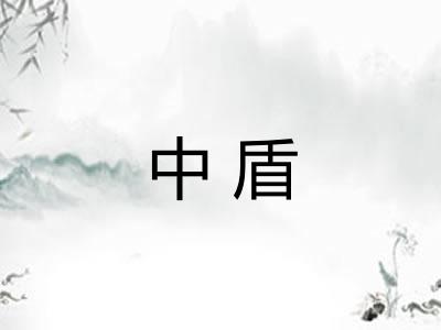 中盾