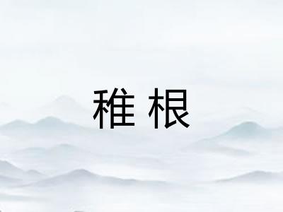 稚根