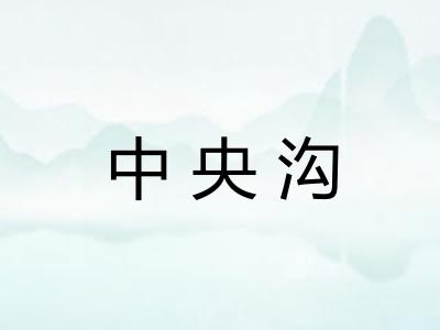 中央沟