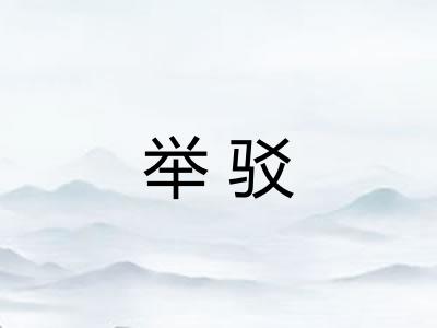 举驳