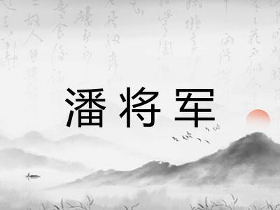 潘将军