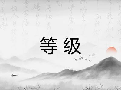 等级