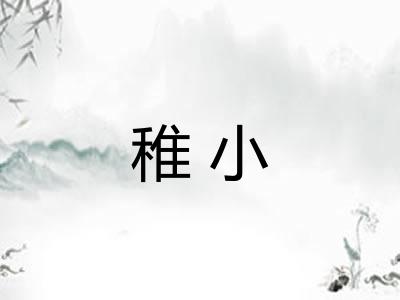 稚小