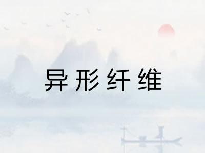 异形纤维