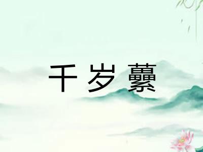 千岁虆