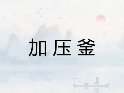 加压釜