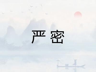 严密