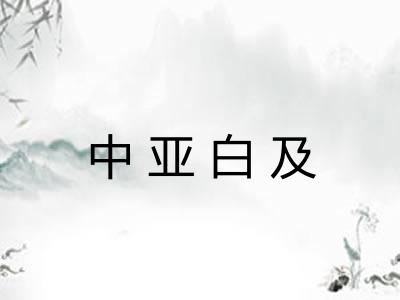 中亚白及