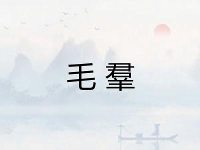 毛羣