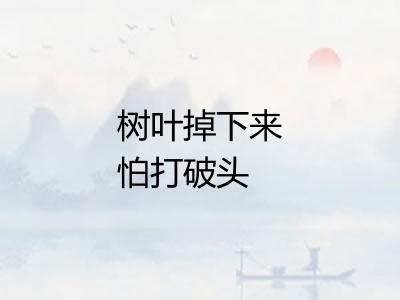 树叶掉下来怕打破头