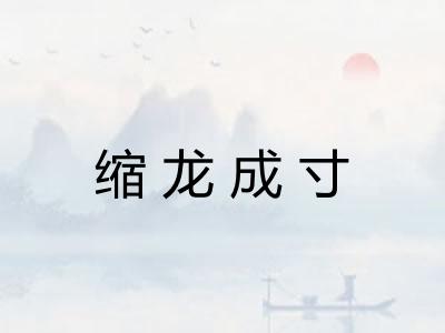 缩龙成寸