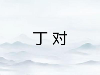 丁对