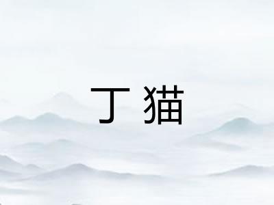 丁猫