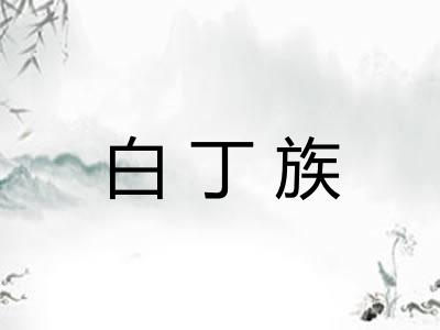 白丁族