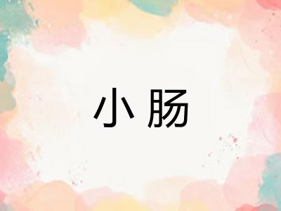 小肠