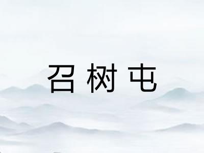 召树屯