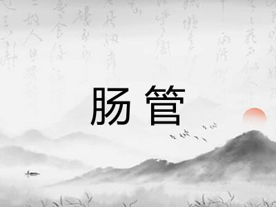 肠管