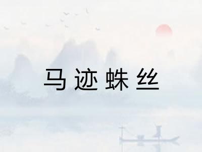 马迹蛛丝