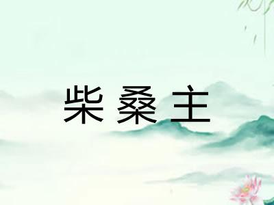 柴桑主