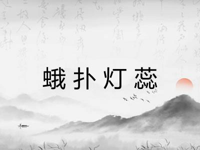 蛾扑灯蕊