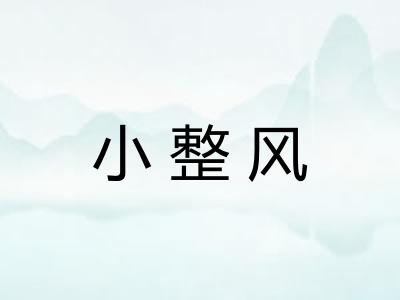 小整风