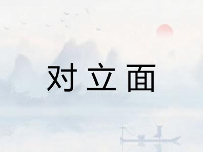 对立面