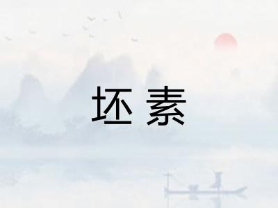 坯素