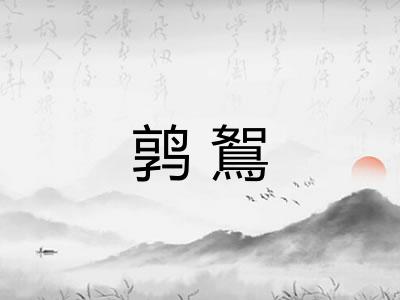 鹑鴽