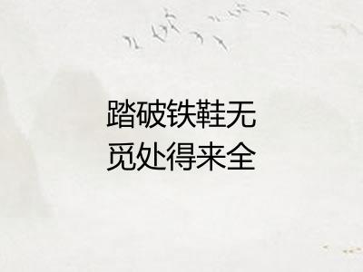 踏破铁鞋无觅处得来全不费功夫