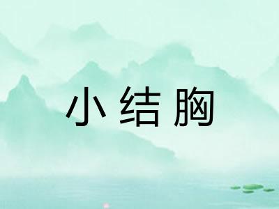 小结胸