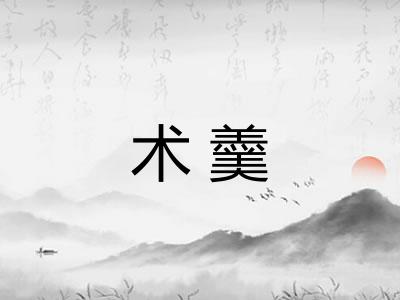 术羹